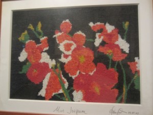  Ponsie's Rudbeckia Hirta